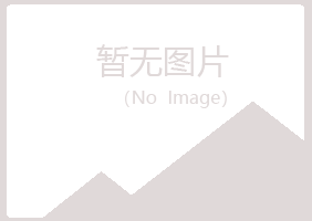 吴川字迹零售有限公司